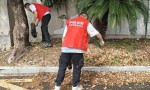 世界地球日：守护绿色家园 东阳平安产险在行动