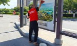 烈日映红心，环境共守护——东阳平安产险开展世界环境日公益活动