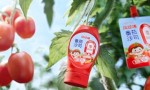 南方+“金牌莞味”深度揭秘：东莞番茄酱品牌凤球唛何以持续走俏全国？