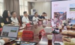 星光控股集团布局荆州文旅产业 董事局主席徐春垒带队考察纪南文旅区‌